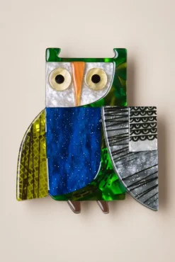 An Owl Named Hoot Broche