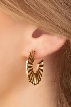 Circle Fan Oorbellen In Goud