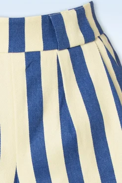 Hilton Deck Gestreepte Shorts In Wit En Blauw