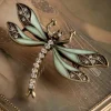 Hoe U Uw Dragonfly-Broche Kunt Trainen