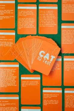 Katten Iq-Test!
